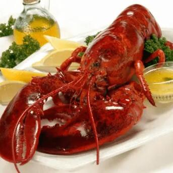 Boston, Food, Shop Cooked Lobsters