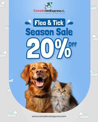 New York, Pet Supplies, Flea & Tick Season Sale - 20% OFF Sitewide | CanadaVetExpress