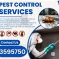 Pest Control Services