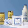 INR 99,  A2 Dairy Products From A Trusted Dairy Farm In West Bengal SRC Farms