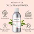 INR 199,  Green Tea Hydrosol For Cosmetic & Beauty Products | Raasa Oils