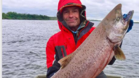 New York, Business, Alaska Salmon Run Trips