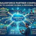 Top Salesforce Partner Companies In The USA