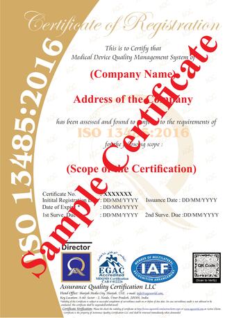 Noida, Business, Apply For ISO 13485 Certification At Cost-Effective Rates