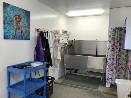 New York, Real Estate, Safeguard Dog Kennel Walls From Moisture Damage With Vinyl Panels