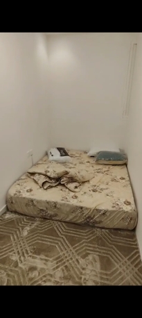 Riyadh, Apts/Flats Wanted, SAR 1500/month,  1 BR,  Furnished Apartment For Rent