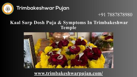 Mumbai, Career Counseling, Kaal Sarp Dosh Puja & Symptoms In Trimbakeshwar Temple