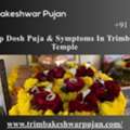 Kaal Sarp Dosh Puja & Symptoms In Trimbakeshwar Temple