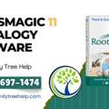 What's New In RootsMagic 11 Genealogy Software?