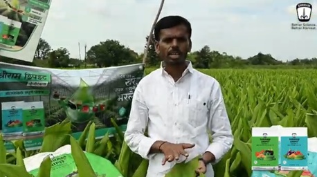 Mumbai, Farm/Garden, Improve Turmeric Quality With Shriram DripIT Veg Growth Booster