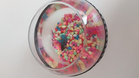 Manama, Free Items, I Just Want To Give A Small Aquarium With 2 Fish