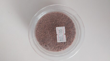 Manama, Free Items, I Just Want To Give A Small Aquarium With 2 Fish