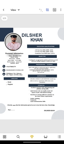 Al-Madinah, Job Seekers, Surveyor