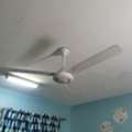 SAR 60,  4 White Color Fans