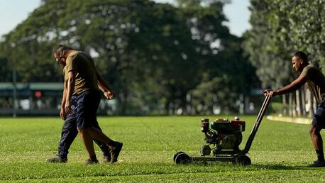 Calgary, Business, CALGARY LAWN CARE & MOWING SERVICES &ndash; LAWNFATHER