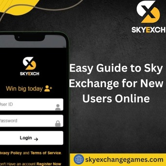 Jaipur, Business, Easy Guide To Sky Exchange For New Users Online