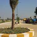 INR 23999,  190 Sq. Yard,  HMDA Gated Villa Plots In Mansanpally Ameerpet Bangalore Highway @7093974335