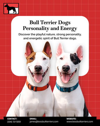 New York, Pet Supplies, Brindle Bull Terriers Available