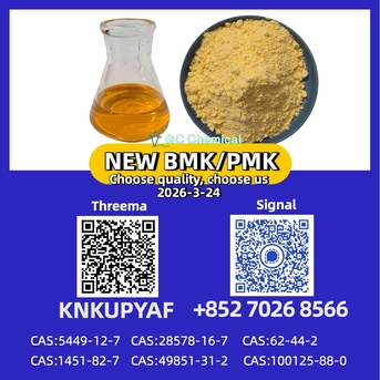 Berlin, Free Items, EUR 90,  C.AS 5449-12-7 New P M K Oil (CAS 28578-16-7) - Ready Stock