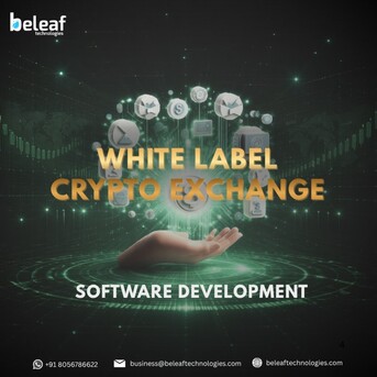 Toronto, Business, Create Your Crypto Trading Platform In Canada With White Label Software