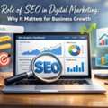 Role Of SEO In Digital Marketing | Boost Growth With DDMS