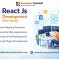 Custom React JS Web Application Development