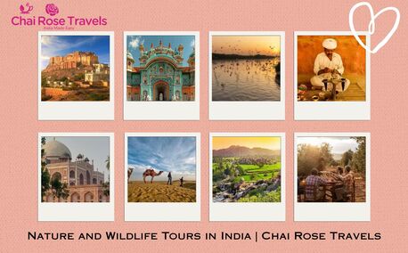 London, Travel, Nature And Wildlife Tours In India | Chai Rose Travels