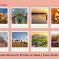 Nature And Wildlife Tours In India | Chai Rose Travels