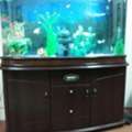 SAR 1600,  Fish Aquarium With Fishes