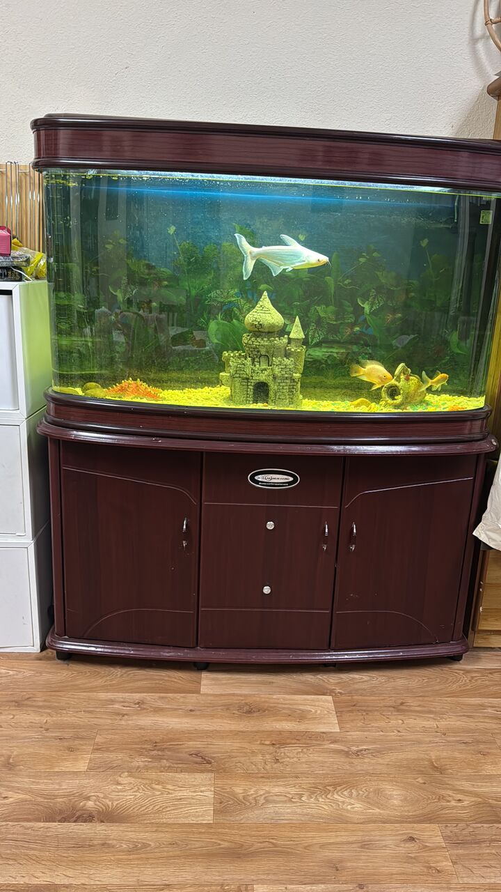 Jubail, Pet Supplies, SAR 1500,  Fish Aquarium With Fishes