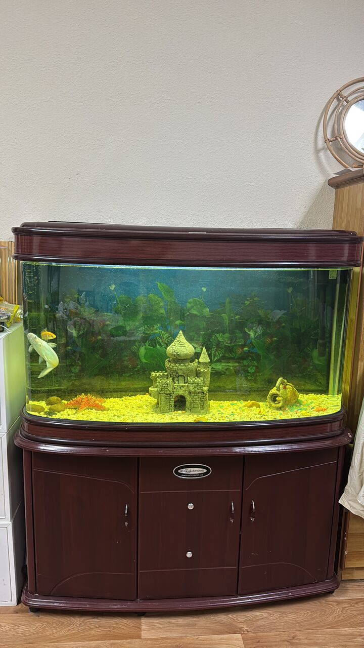 Jubail, Pet Supplies, SAR 1500,  Fish Aquarium With Fishes