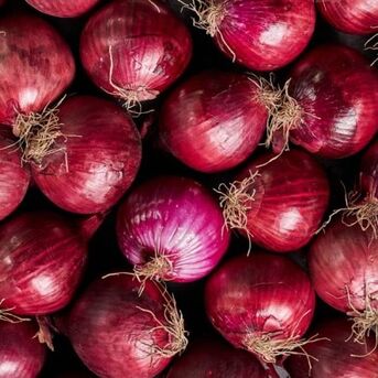 Mumbai, Wholesale Products, Red Onion Suppliers In Maharashtra