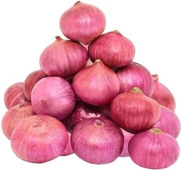 Mumbai, Wholesale Products, Red Onion Suppliers In Maharashtra