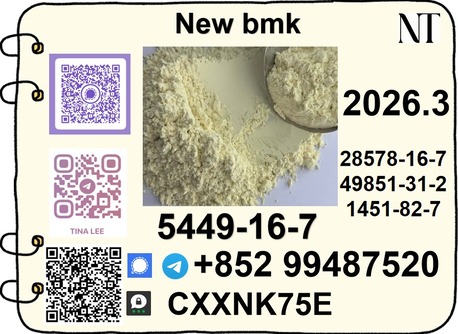 Tirana, Musicians, Supply & Trusted Partner