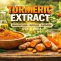 Premium Turmeric Extract Manufacturer In USA & India
