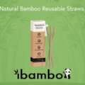 USD 140,  Bamboo Reusable Straws: A Practical Step Toward Less Waste