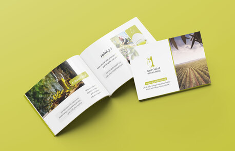 Riyadh, Job Seekers, I Am A Graphic Designer And Open To Suitable Opportunities.