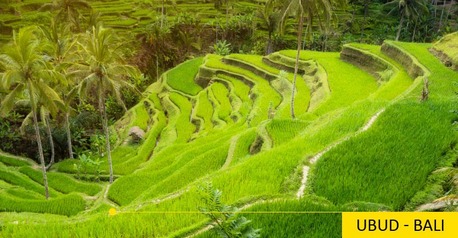 Kolkata, Travel, Book Bali Package Tour From Kolkata