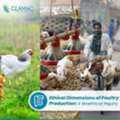 Role Of Veterinarian In Animal Welfare: Ethical Poultry Production And Responsible Farming