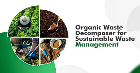New Delhi, Business, Organic Waste Decomposer Solutions | Surajshree Chemical Limited