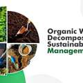 Organic Waste Decomposer Solutions | Surajshree Chemical Limited