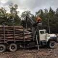 Quality Supply Of Firewood New Boston Nh For Home Heating