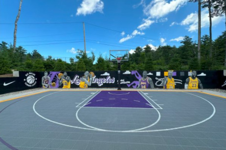 New York, Business, Home Basketball Goal For Easy And Fun Backyard Play