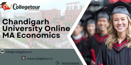 Chandigarh, Lessons Offered, Chandigarh University Online MA Economics