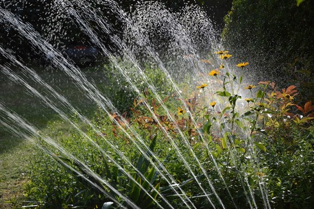 New York, Farm/Garden, Efficient Irrigation Planning & Landscape System Services