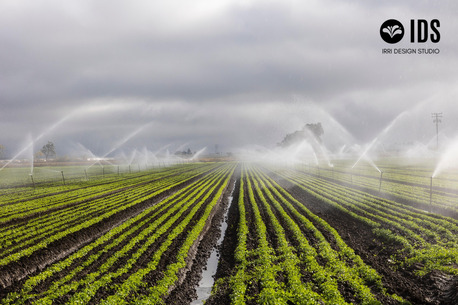 New York, Farm/Garden, Efficient Irrigation Planning & Landscape System Services