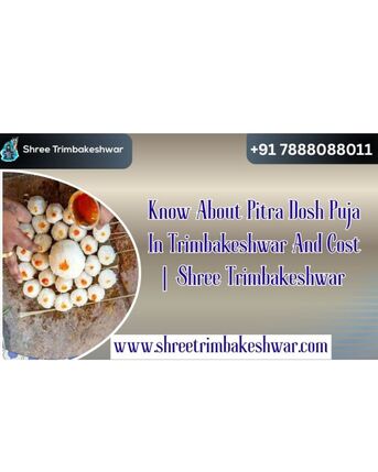 Mumbai, Business, Know About Pitra Dosh Puja In Trimbakeshwar And Cost | Shree Trimbakeshwar
