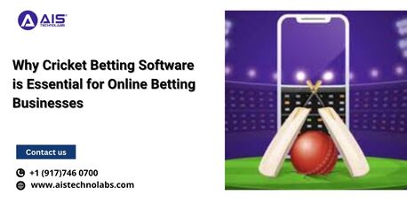 New York, Software Development, Why Cricket Betting Software Is Essential For Online Betting Businesses