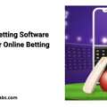 Why Cricket Betting Software Is Essential For Online Betting Businesses