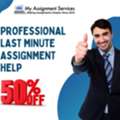 Professional Last Minute Assignment Help At 50% Off &ndash; Limited Deal